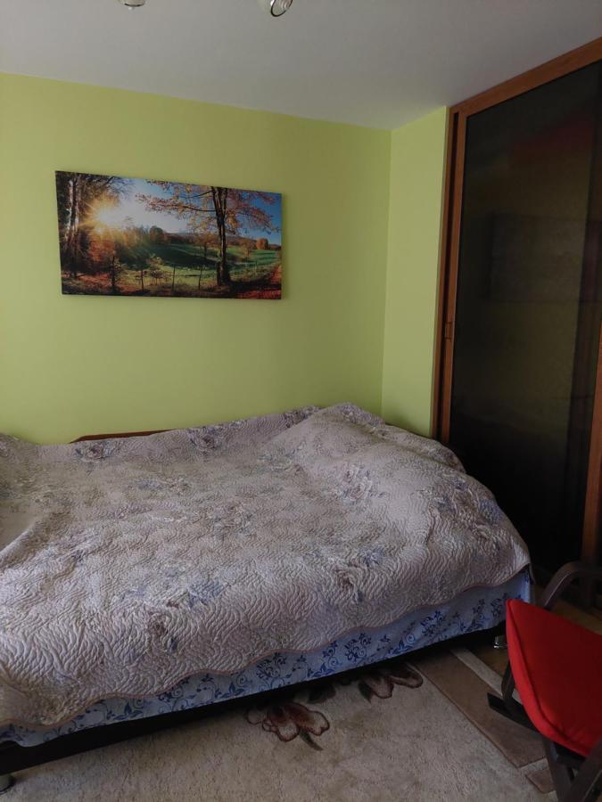 Petroşani Fely Room מראה חיצוני תמונה